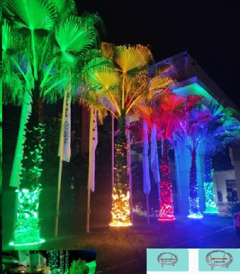 RGBPALM