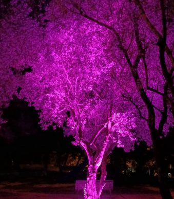 WhatsApp Görsel 2025-06-03 saat 21.11.44_77edd2fc